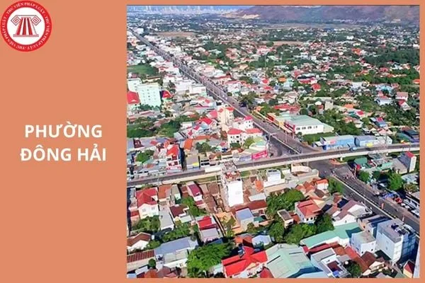 lắp mạng tại Đông Hải